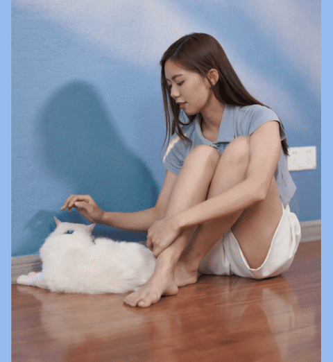 萌寵治愈我的生活——藝術涂料十大品牌“阿爾卑斯”系列
