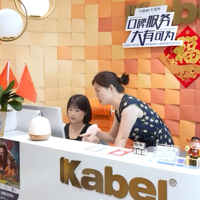 卡百利藝術漆積極響應“國補”開啟“千萬補貼，品質煥新”活動