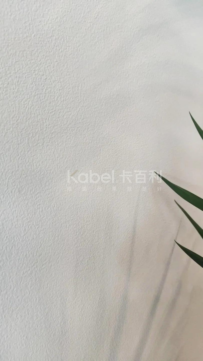 藝術漆可以馬上入住嗎